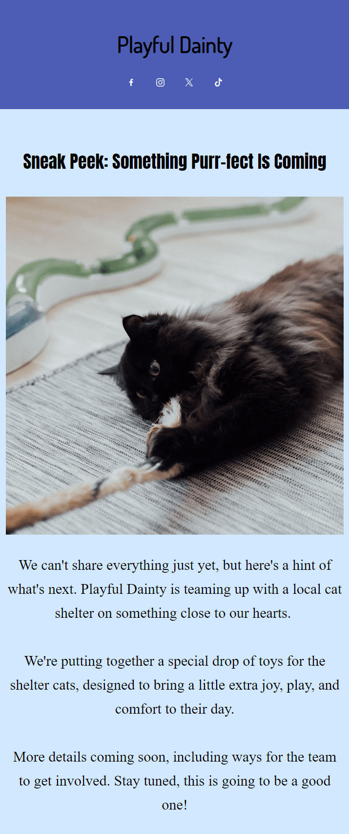 Company newsletter: A fluffy black and white cat lies on its side on a light-colored floor, playing with a blue and white rope toy, next to a scratching post. Text above and below announces a collaboration with a local cat shelter.