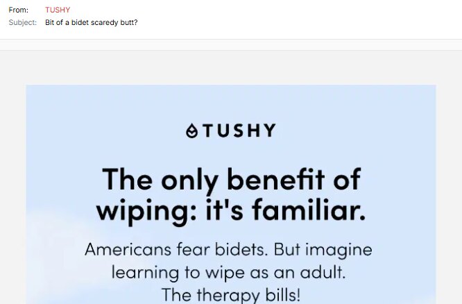 Funny email examples: A marketing email from TUSHY with the subject Bit of a bidet scaredy butt? features text: The only benefit of wiping: its familiar. Americans fear bidets. But imagine learning to wipe as an adult. The therapy bills!.
