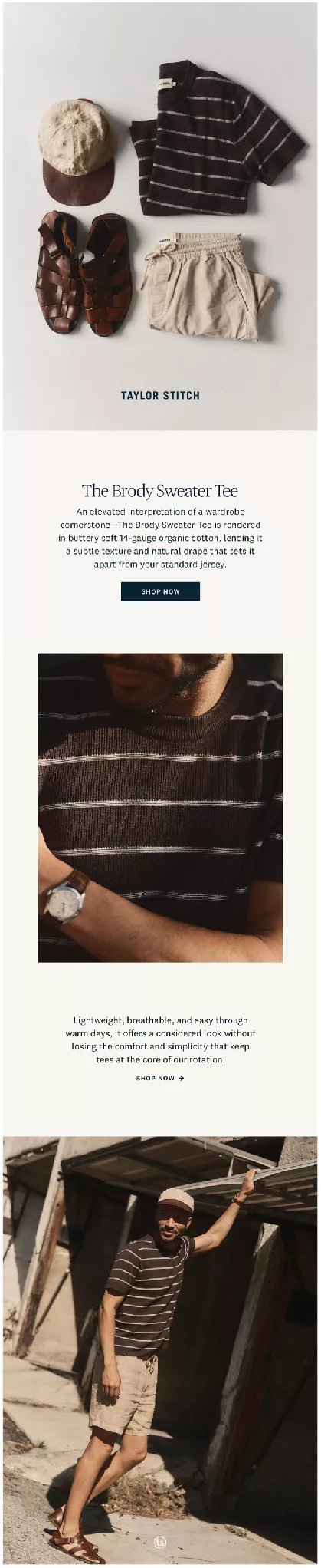 taylor stitch email example