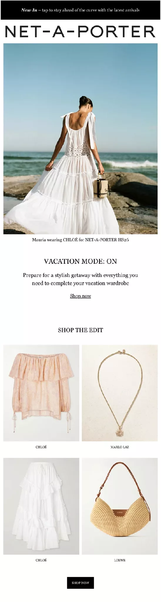 net-a-porter email example