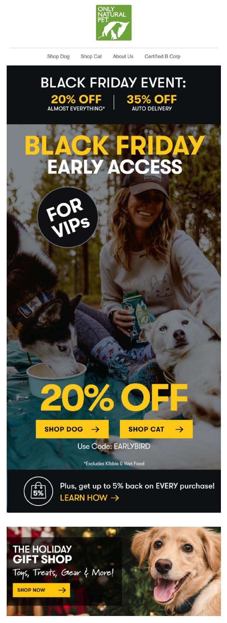 15 Black Friday email examples + free templates (2026)