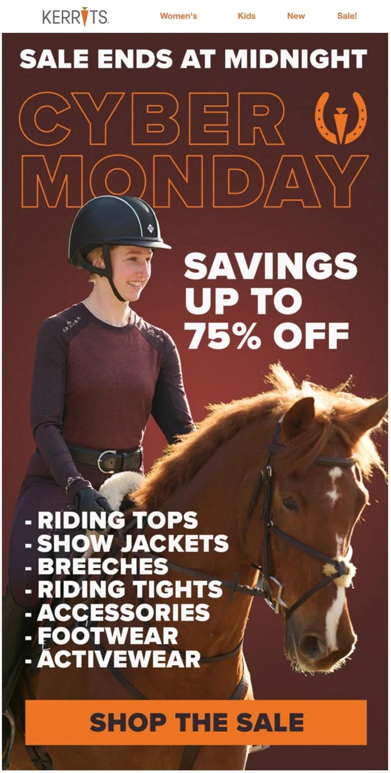 Cyber Monday Emails: Examples, Subject Lines & Send Times