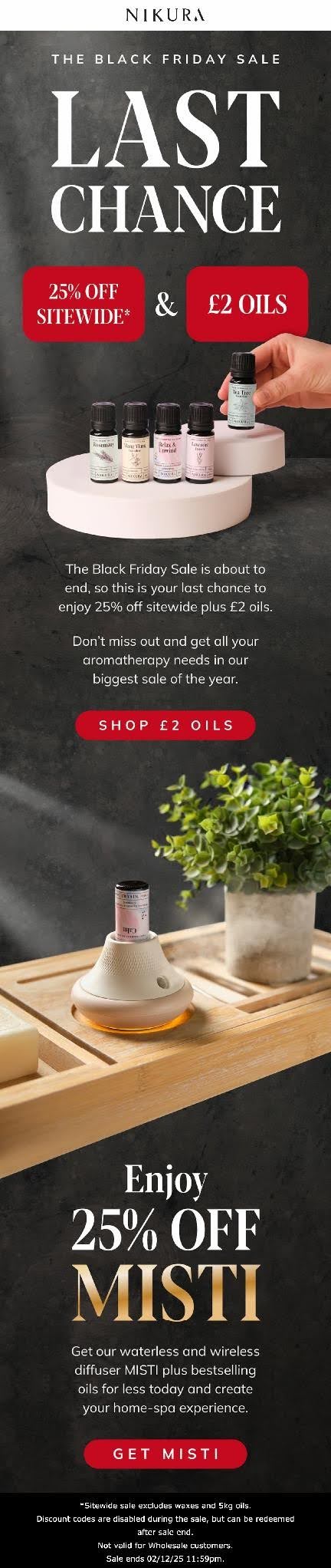 15 Black Friday email examples + free templates (2026)