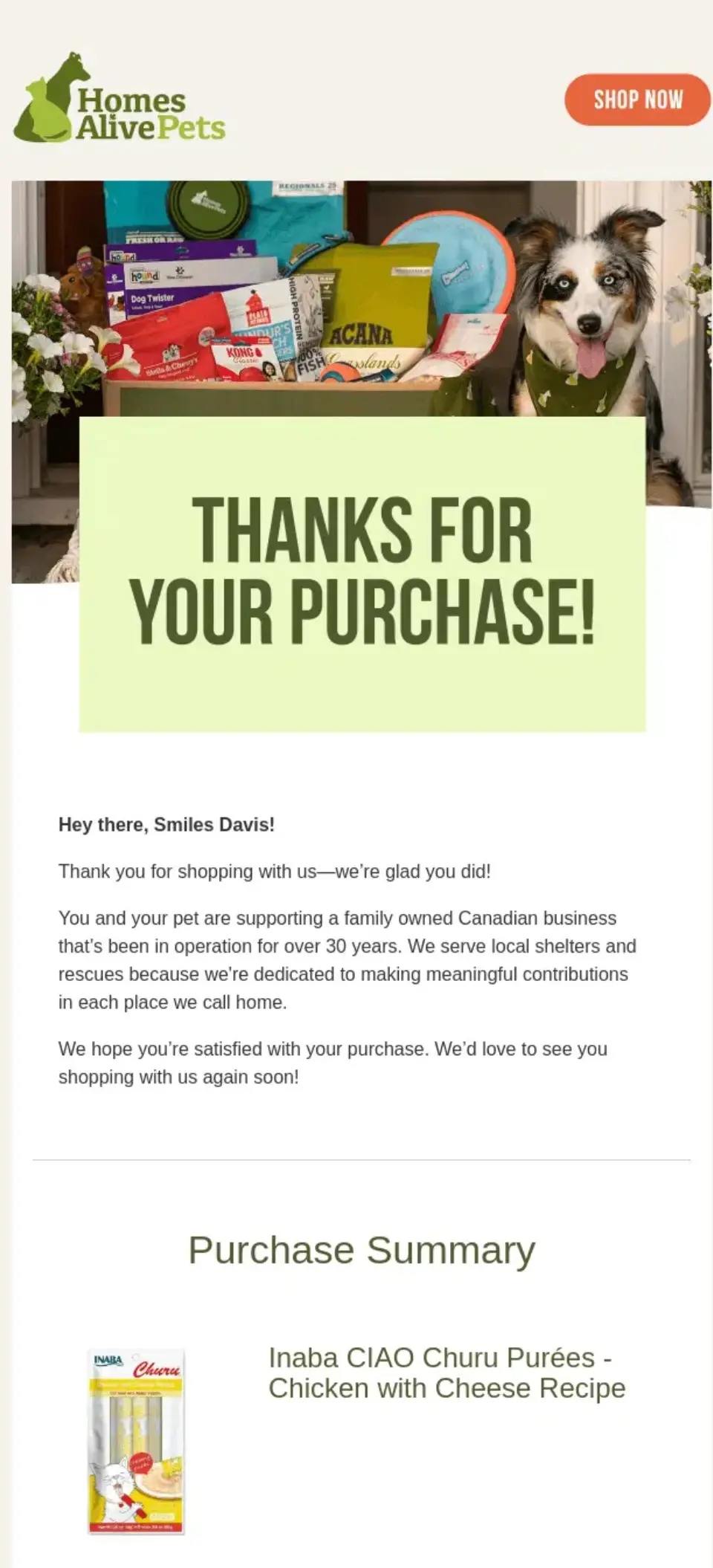 A dog sits beside pet products and a Thanks for your purchase! message from an online pet store.