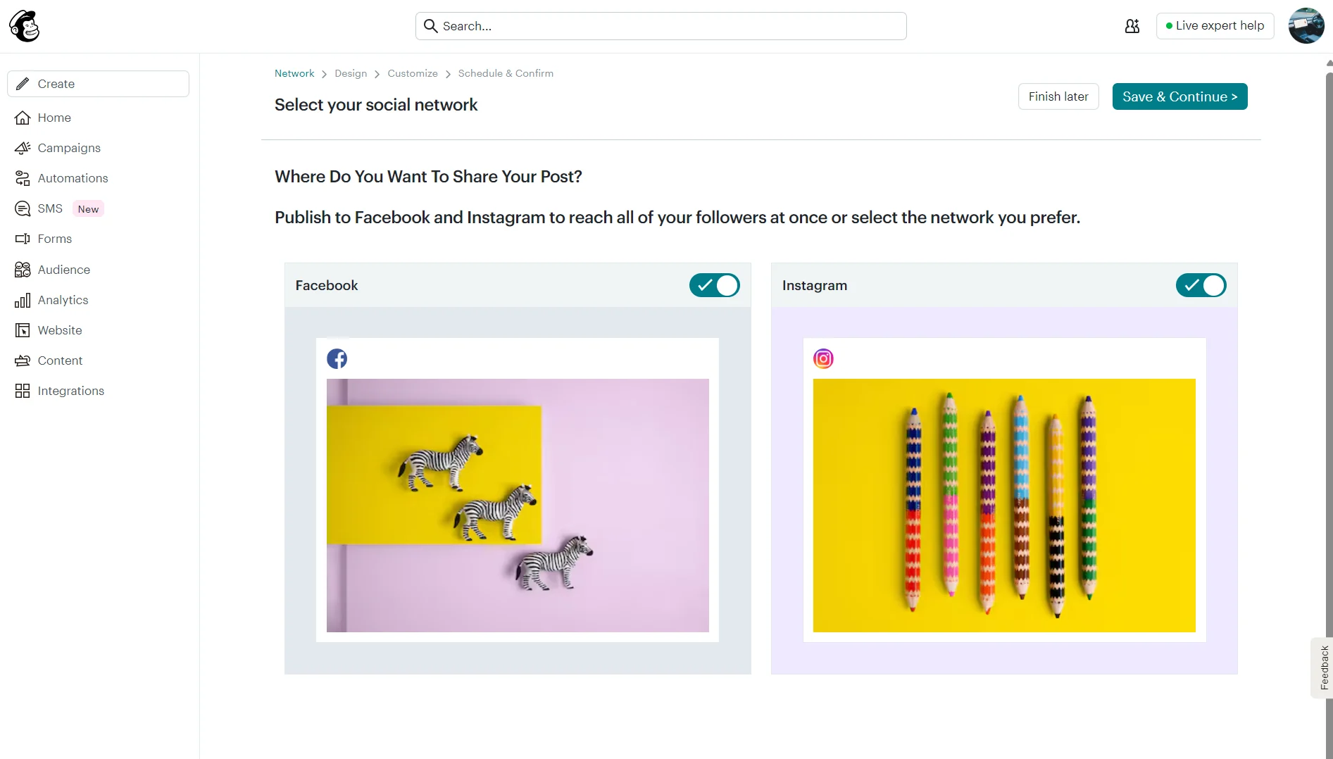 Options to publish a post to Facebook or Instagram, each with a preview image and toggle switch.