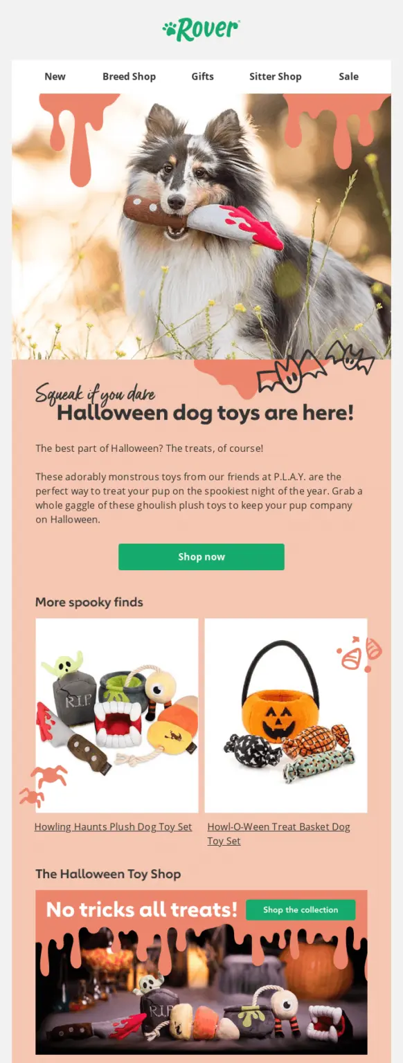 A dog holds a plush bat toy outdoors; Halloween-themed dog toys are displayed on a themed promotional email.