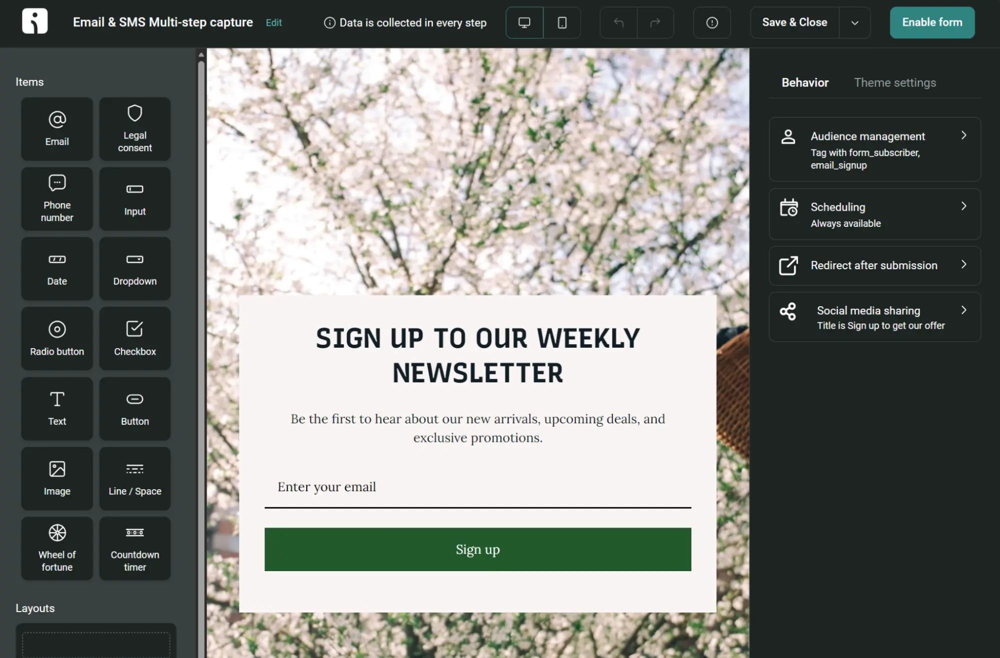 A website form builder interface showing a newsletter sign-up template with email input and sign-up button.