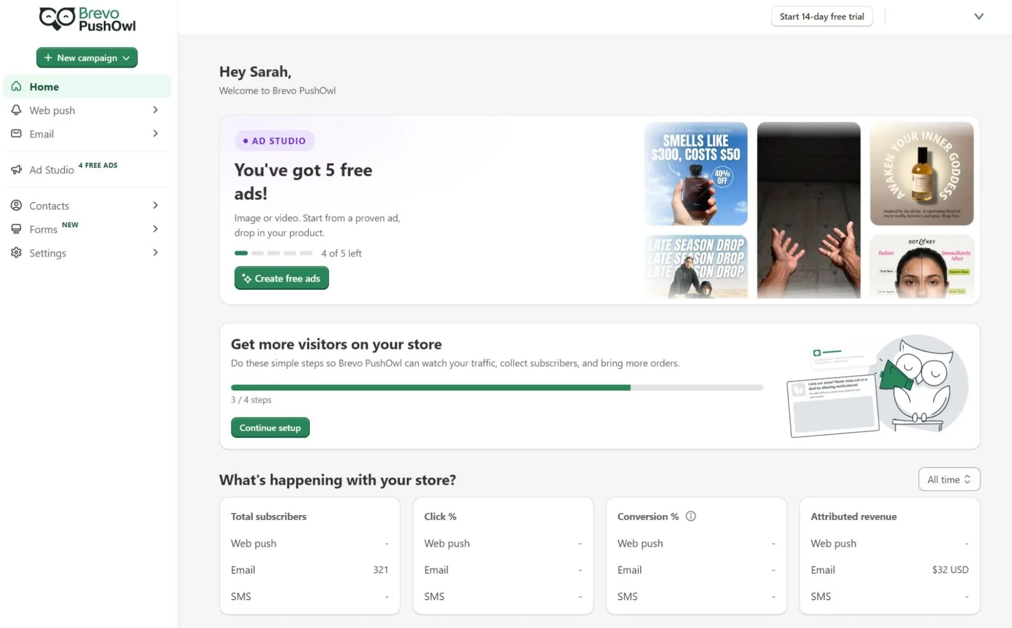 Brevo PushOwl dashboard showing ad creation tools, store setup progress, and store analytics.