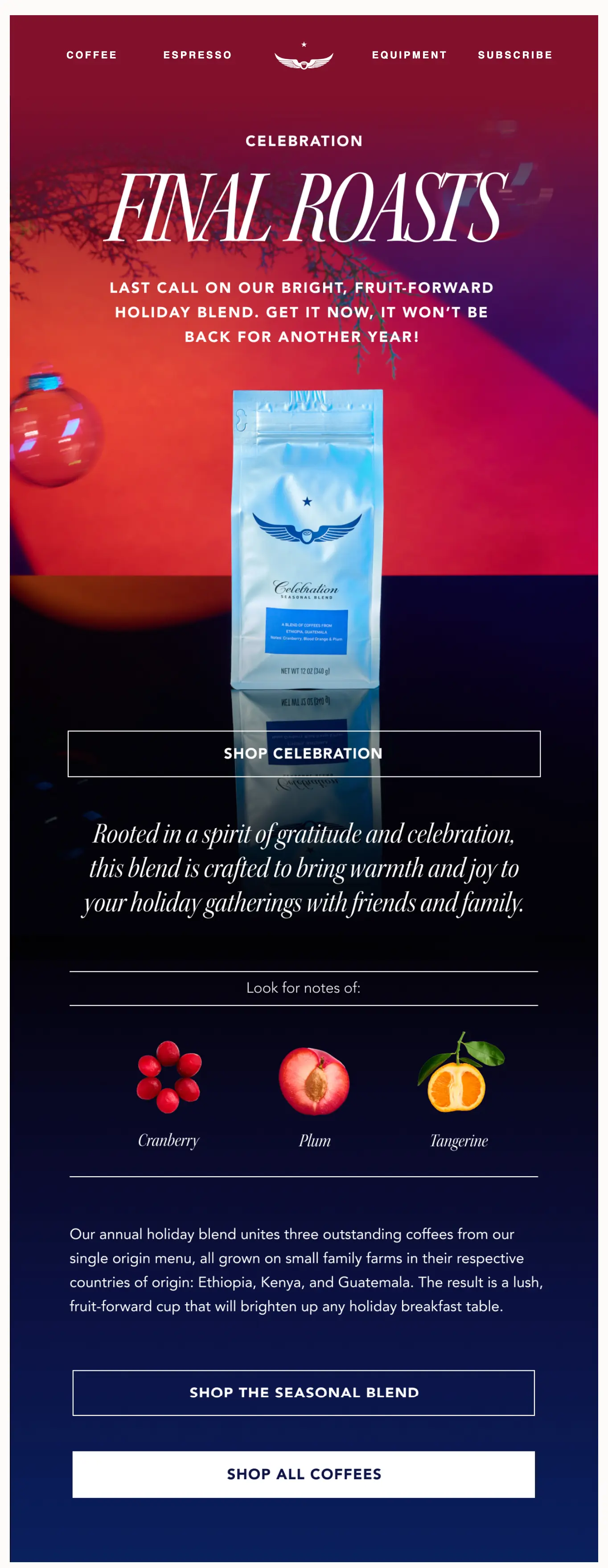 A coffee bag stands upright with fruit illustrations and text promoting a limited-time holiday blend.