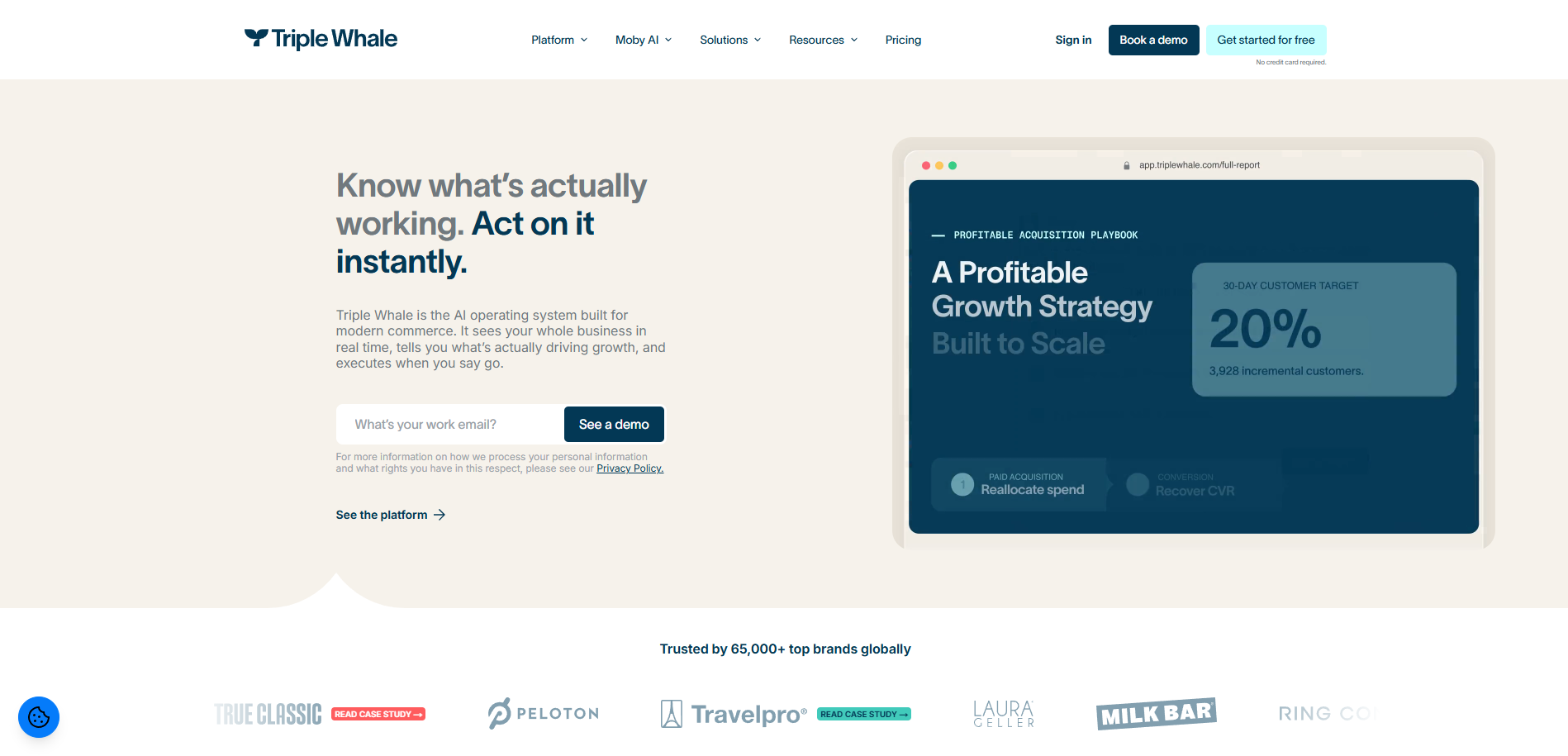 Triple Whale homepage showing a product demo interface and a list of brand logos.