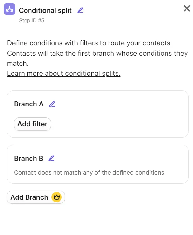 Conditional split configuration menu showing Branch A with add filter button and Branch B for remaining contacts.