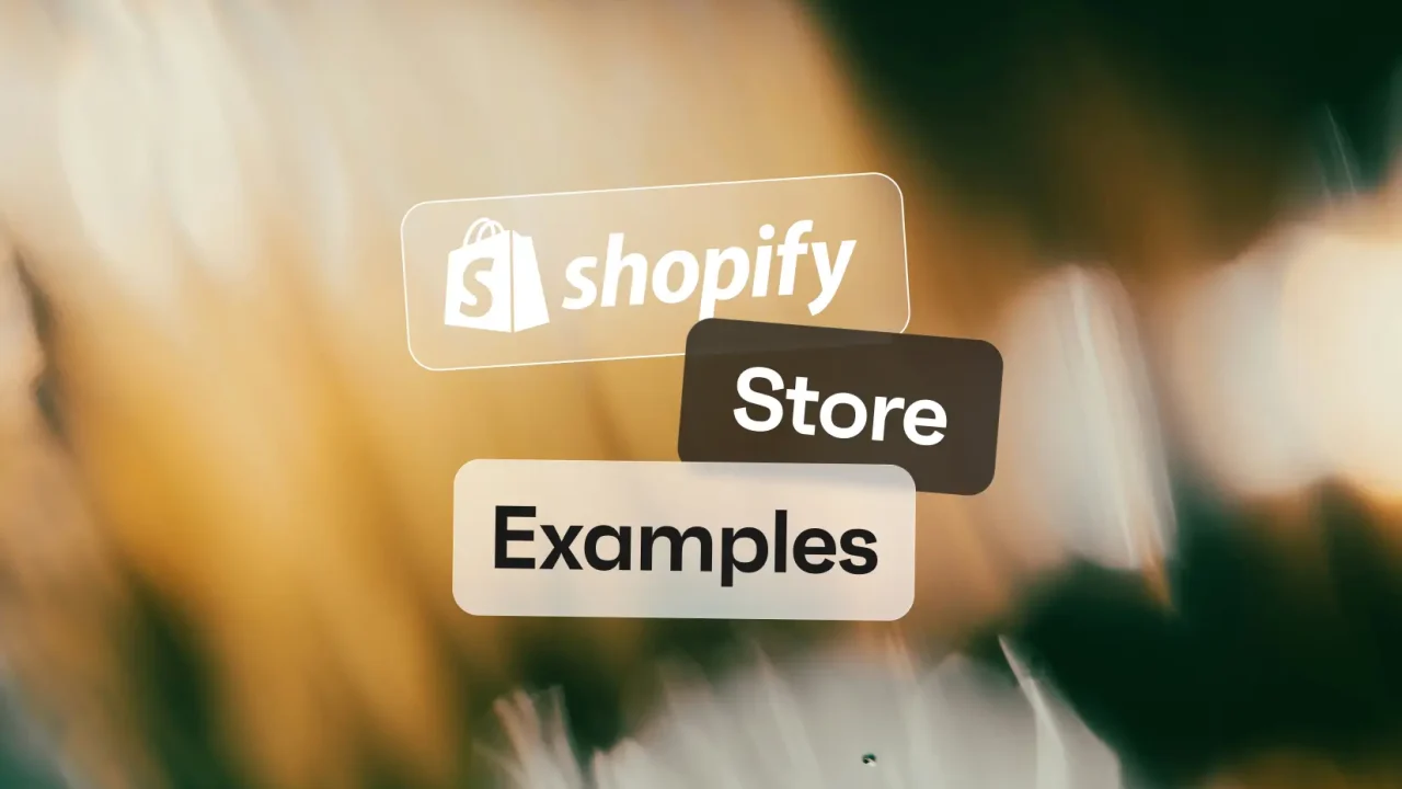 Shopify store examples