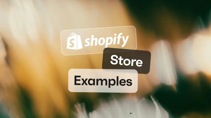 Shopify store examples
