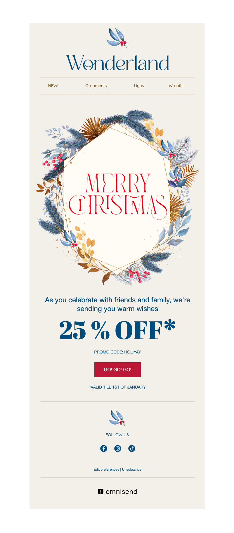 Christmas email newsletter template