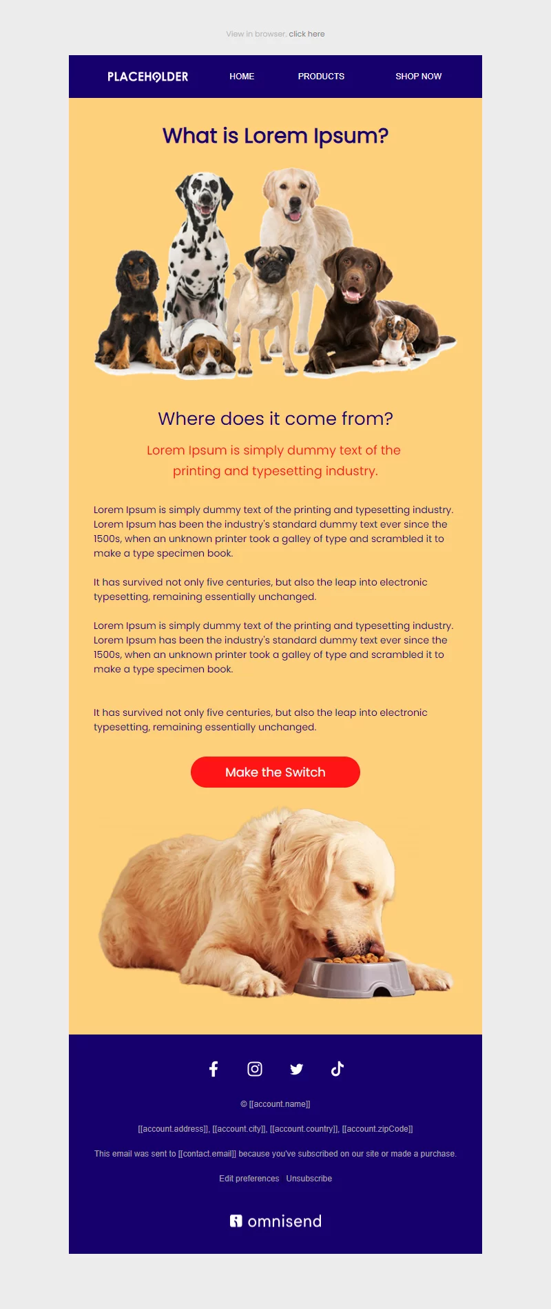 Pets email newsletter templates