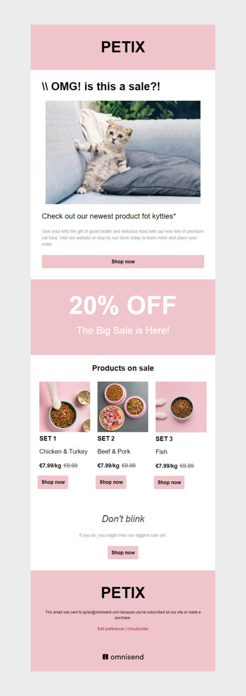 Pets email newsletter templates