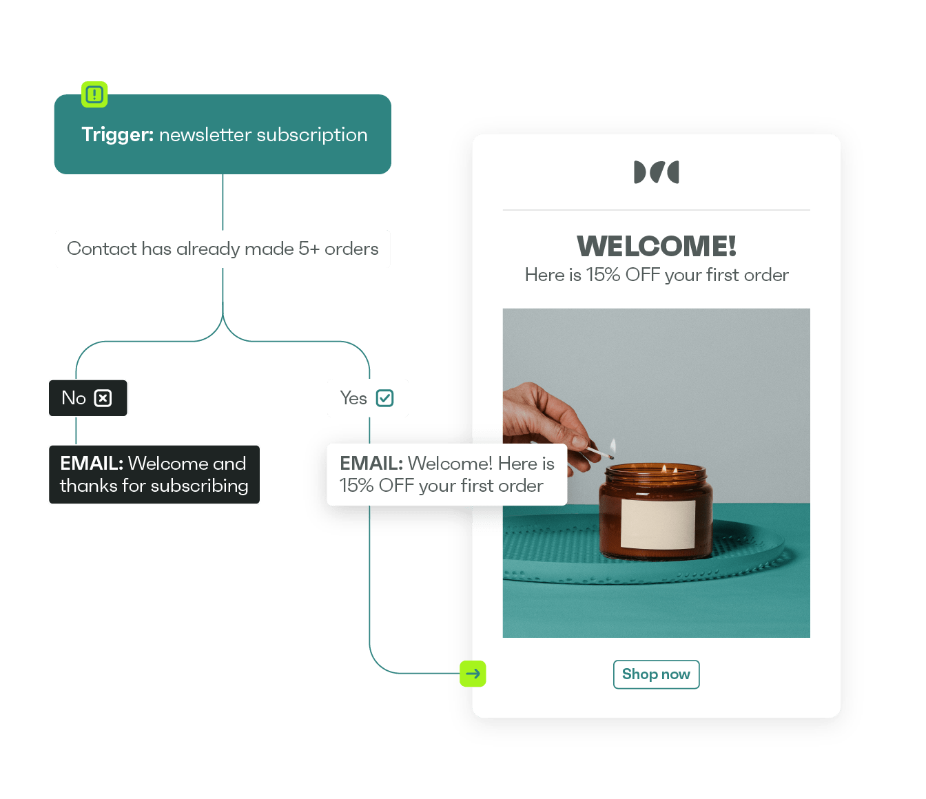 >Automate your <b>beauty email campaigns</b>