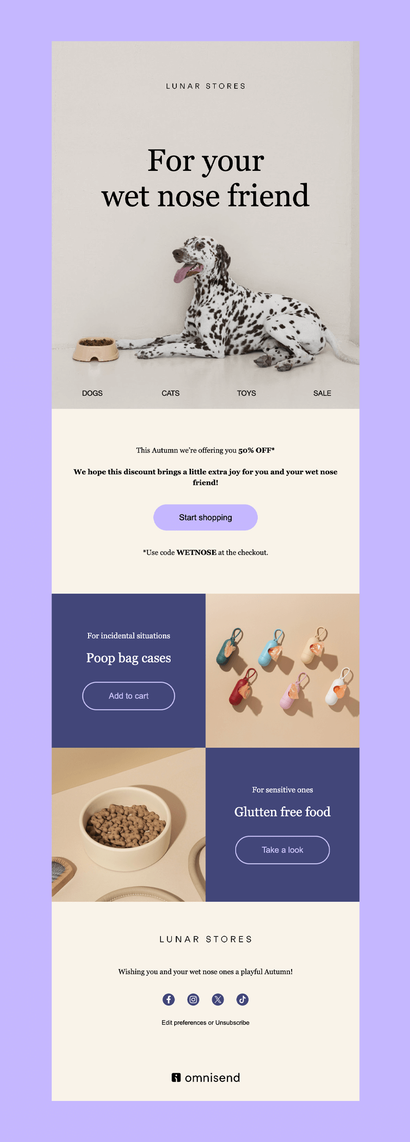 pet newsletter ideas example