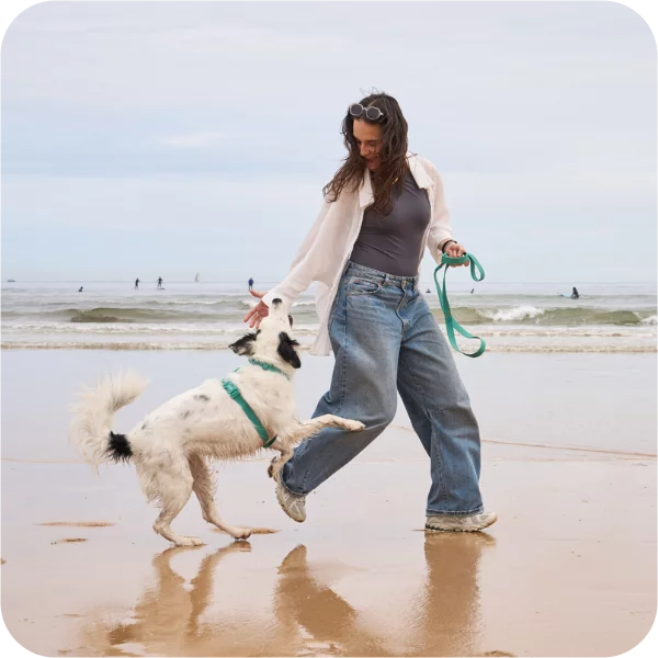 How Dukier grew its revenue from Omnisend by 525%